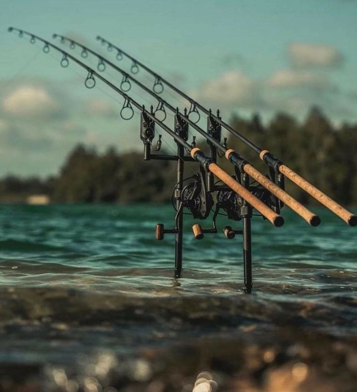 Hengelsport in Zaanstad