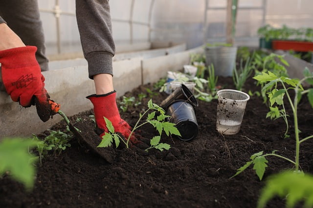Tuinman in Zaanstad